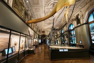 50836-naturhistorisches-museum-wien-nhm-dinosaurier