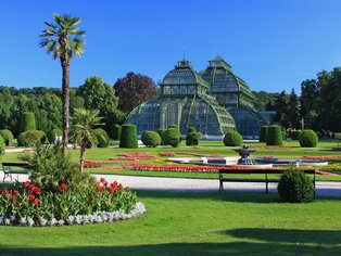 Palmenhaus